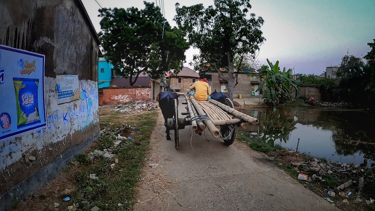 Walking Through Remote Indian West Bengal Village | Real Village life in India | Countryside Village