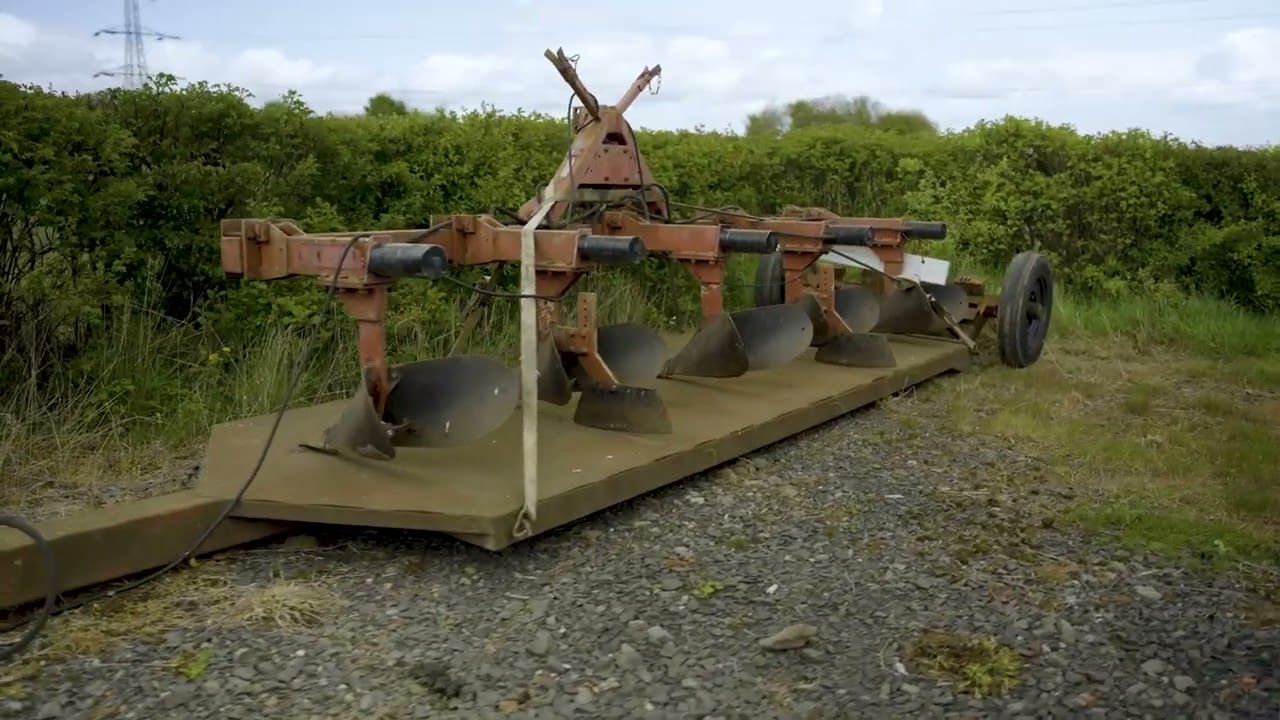 Balruddery Farm: Field margins