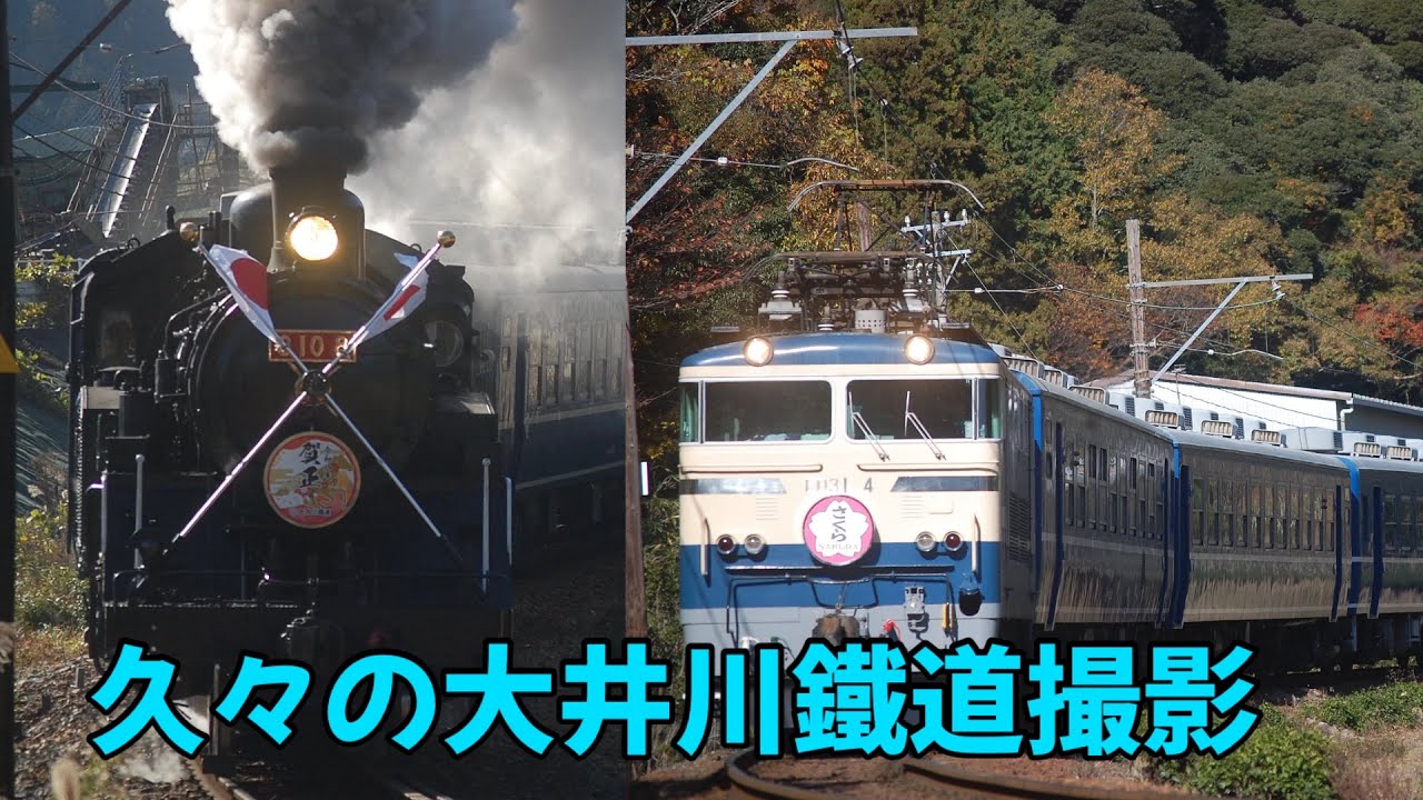 大井川鐵道が色々と運行し始めるので撮りに行ってきた