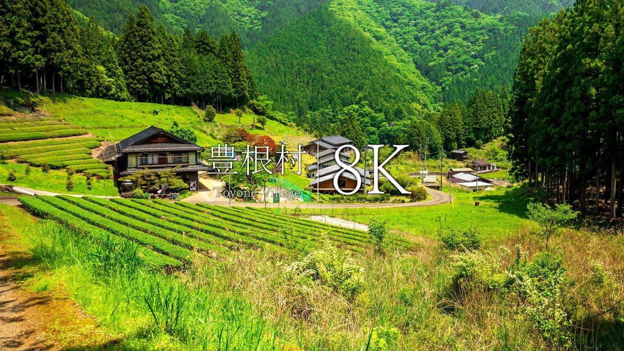 【愛知の秘境】豊根村の絶景スポット10選 - JAPAN in 8K