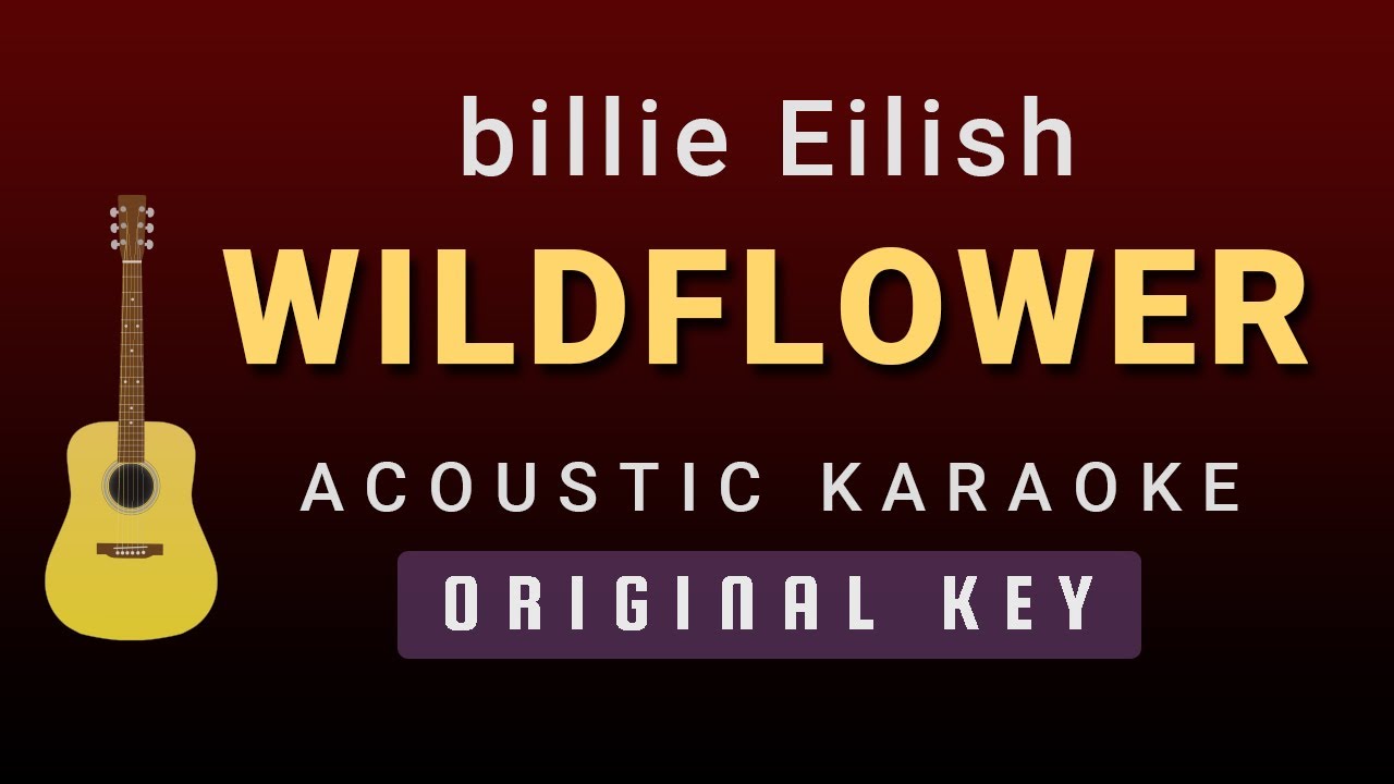 WILDFLOWER - Billie Eilish (Acoustic Karaoke)
