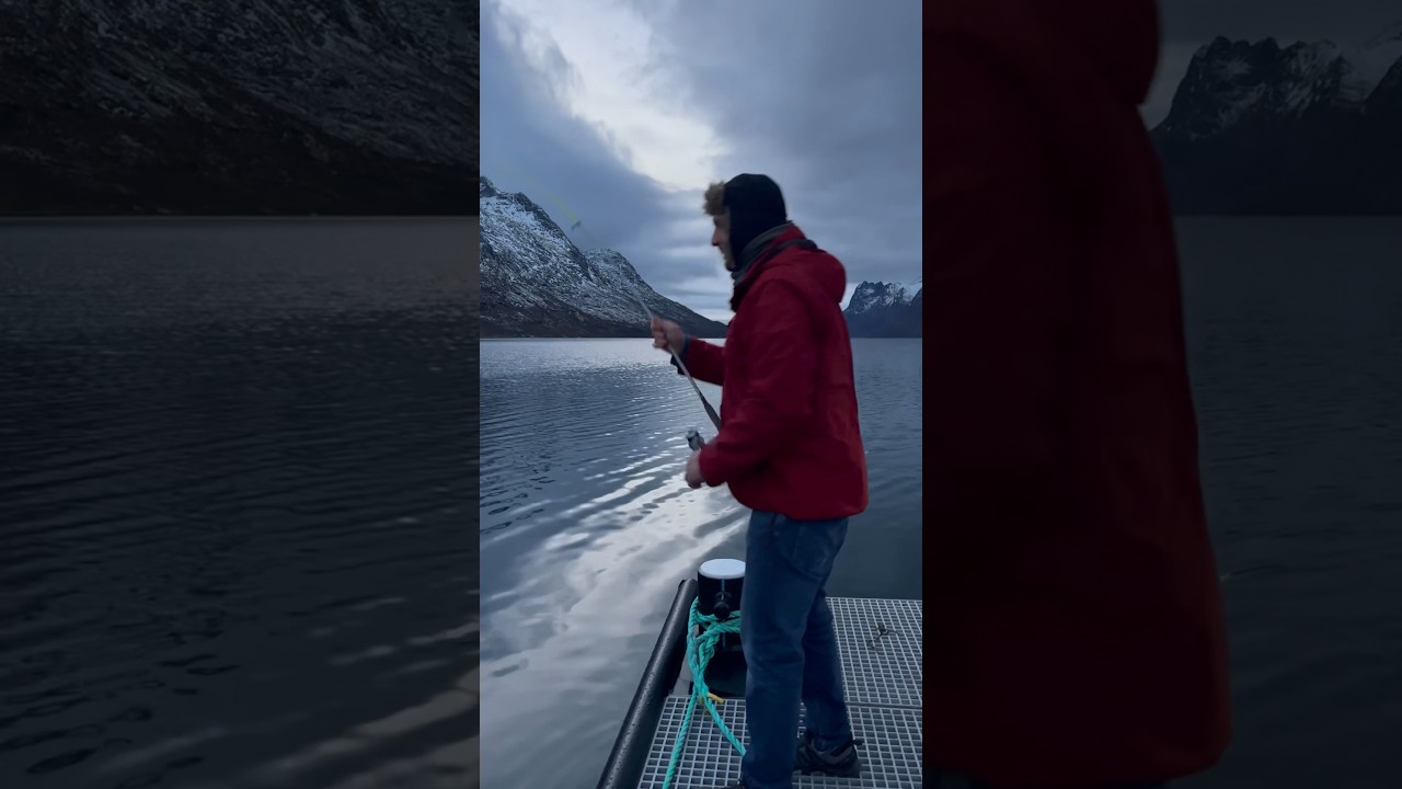 Norwegian fishing 🎣 #norway #arctic #polarnight #troms&oslash; #code #fishing