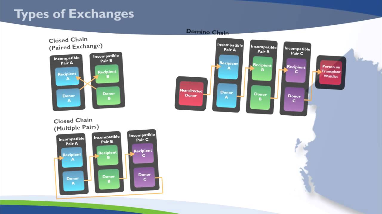Living Kidney Donor Program: A Step by Step Process