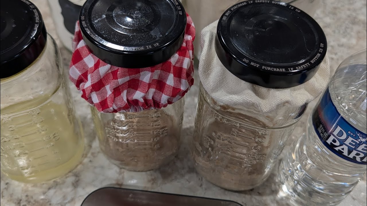 Sourdough Starter -Day 5