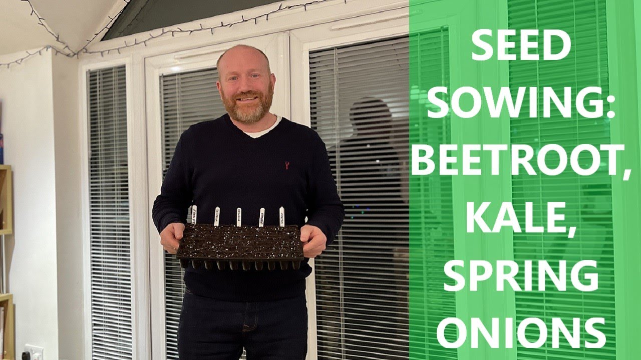 Seed Sowing - Charles Dowding 60 Cell - Beetroot, Kale, Spring Onions, Leeks