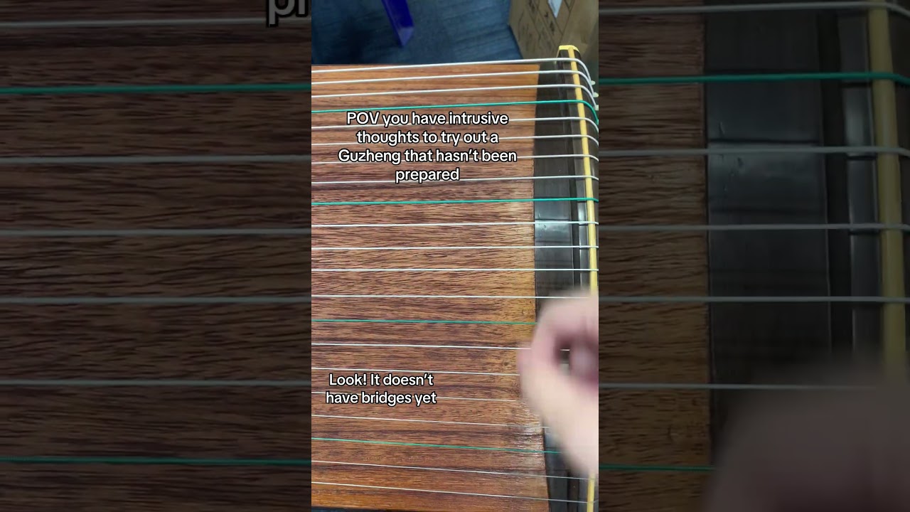 Звук получился таким, как вы ожидали? #easonmusic #guzheng #instrument #chinesemusic #music #fyp ...
