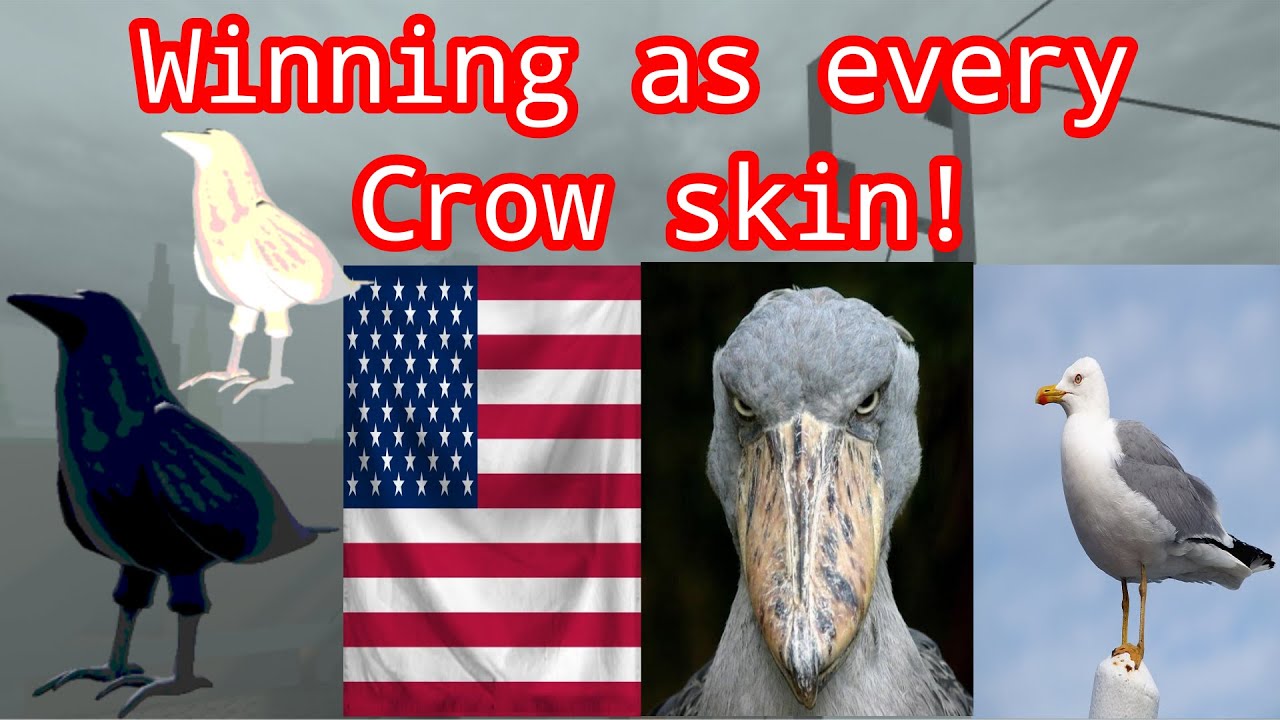 Winning as every Crow Skin in Break in and Steal Thingz! [ROBLOX]