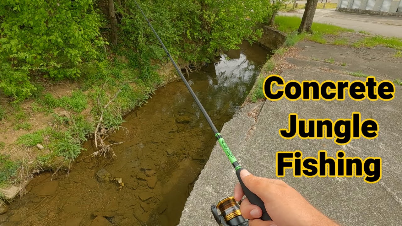 Surprised by Urban Ditch Fishing!!
