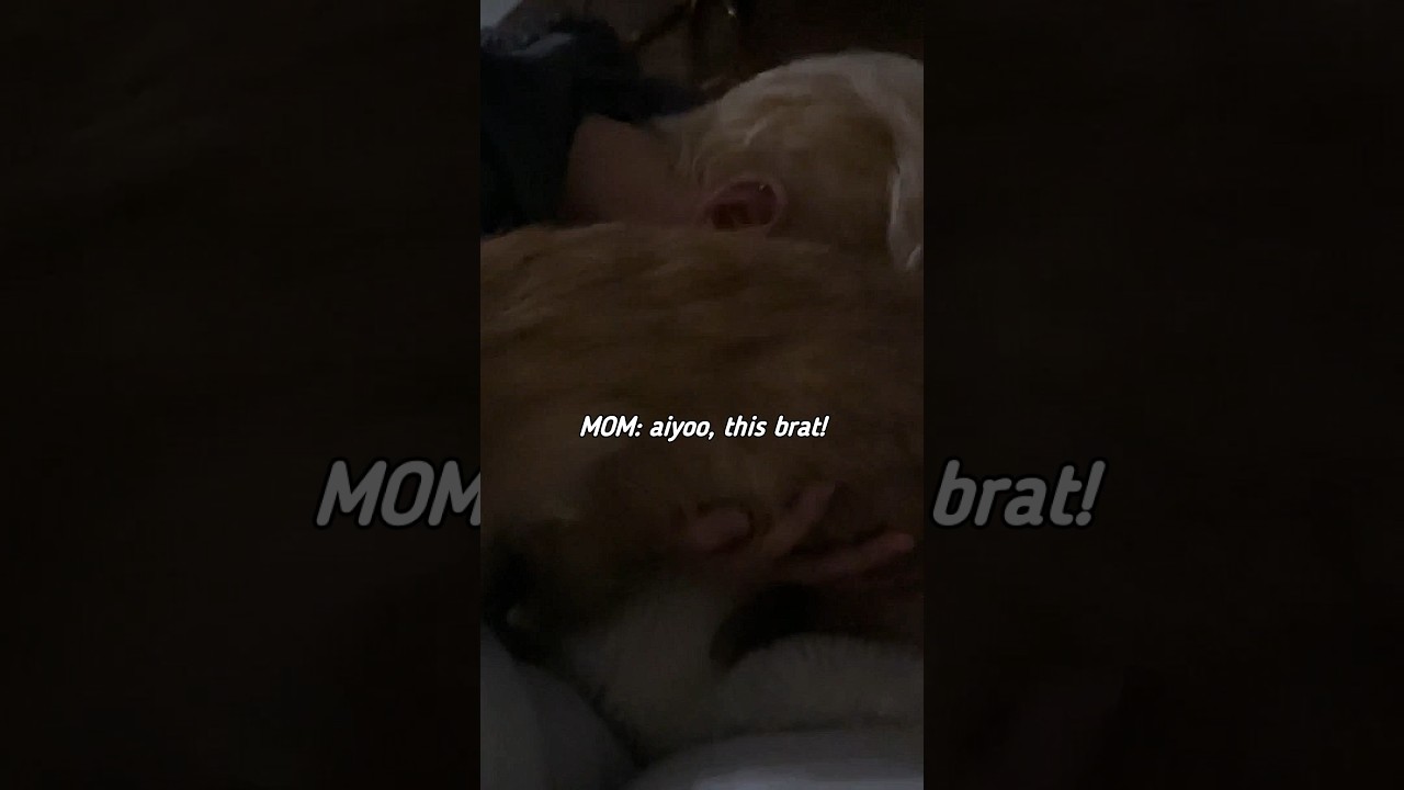 DRUNK hoshi back to his parents at 3am😅HIS MOM reaction is so funny🤣💗#seventeen#Hoshi#soonyoung