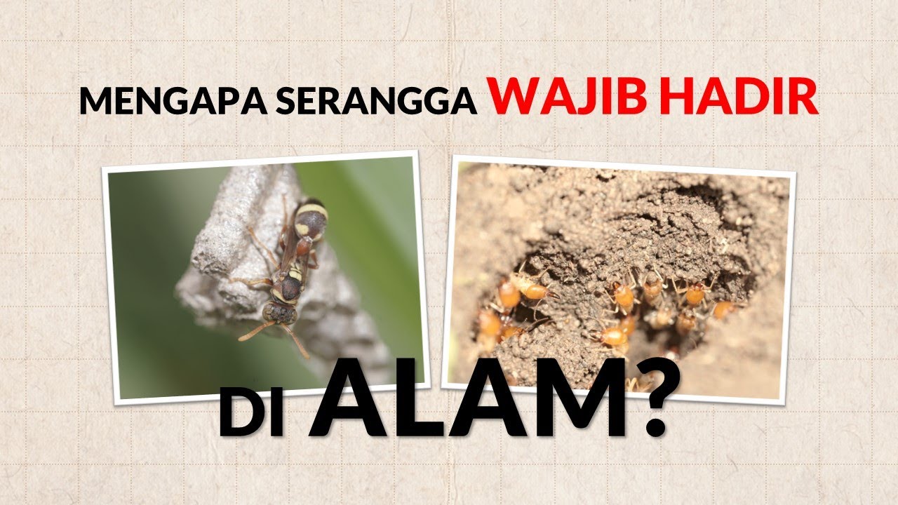 Kuliah Ekologi Serangga 1 MENGAPA SERANGGA WAJIB HADIR DI ALAM? SEBUAH TELAAH BIOLOGI