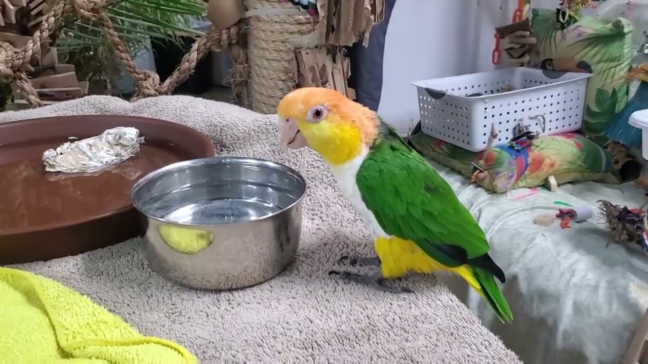 We are back again 🥰