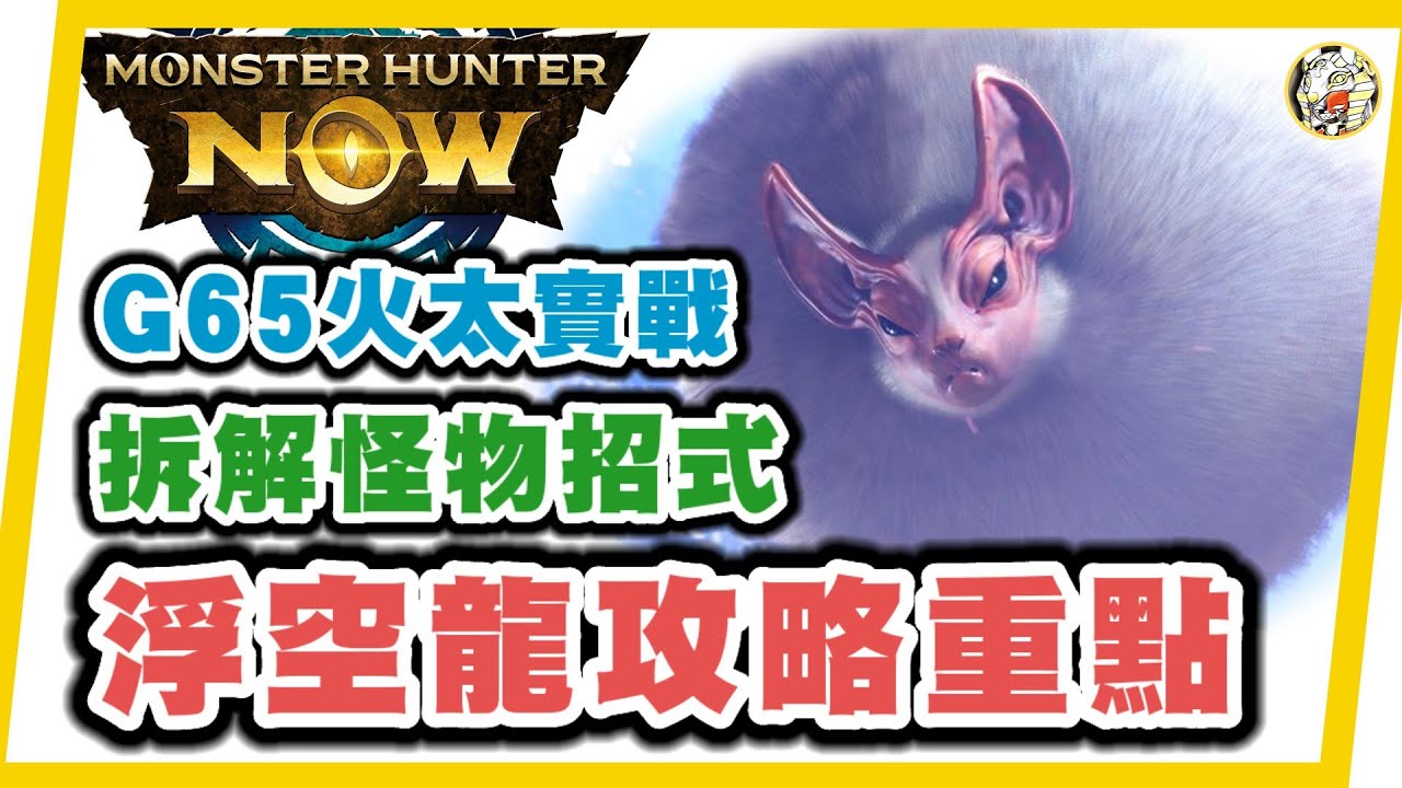 MHN  浮空龍新手攻略!! G65火太刀大戰8星（紫3）浮空龍~Monster hunter now 攻略! 拆解招式~