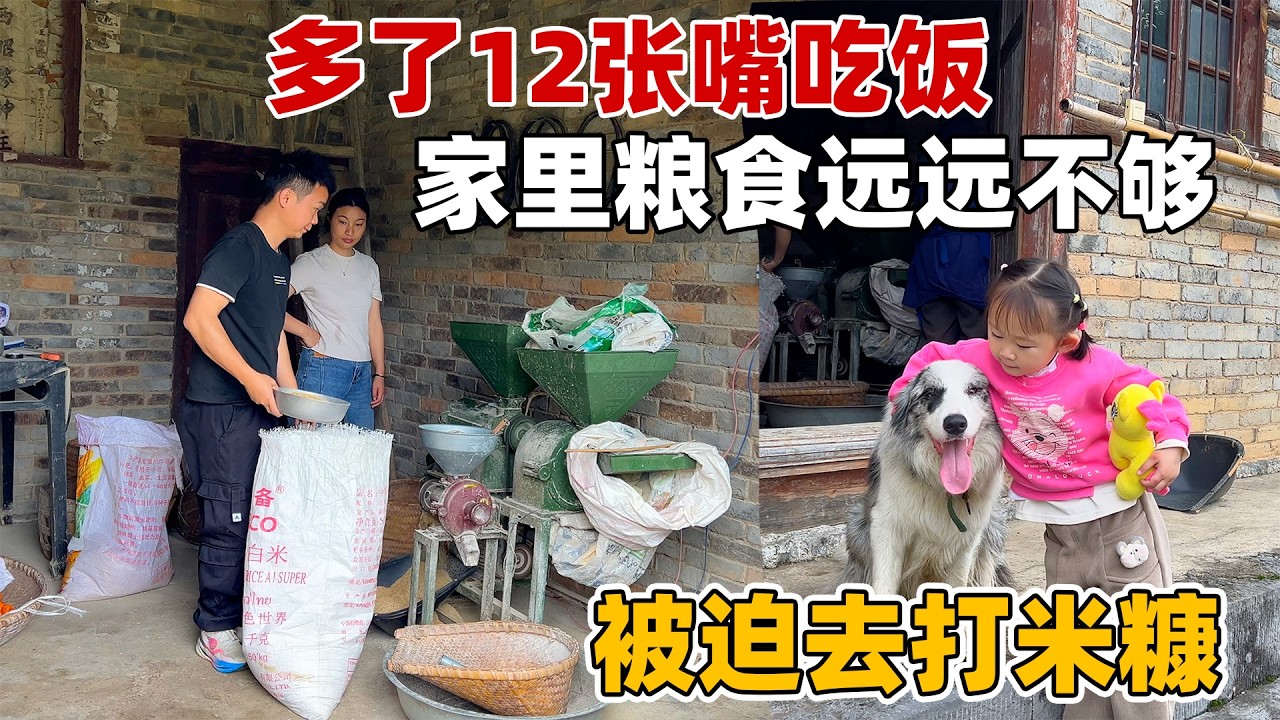 养家禽开销太大了,为了十二只鸭子能顺利长大,又花了一百多在伯伯家买了几十斤玉米。