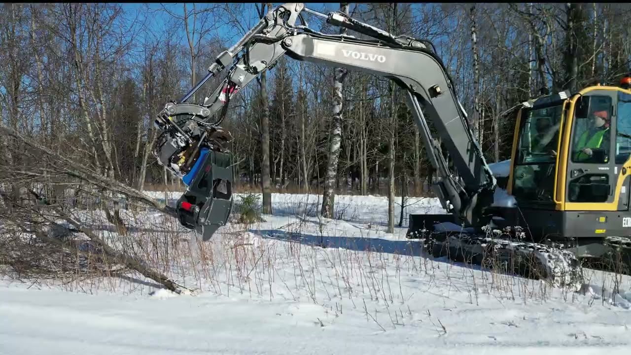 Trädklipp TS20 ROBUST