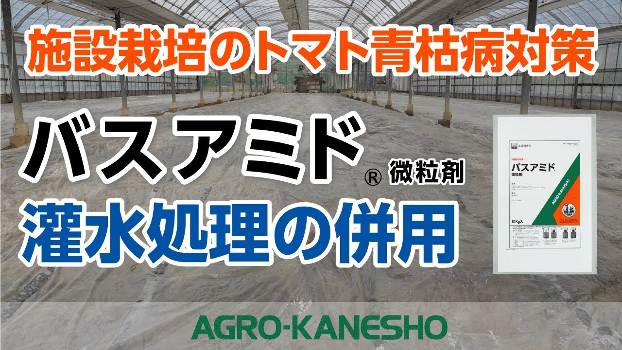 施設栽培におけるトマト青枯病対策～バスアミド微粒剤と灌水処理の併用～