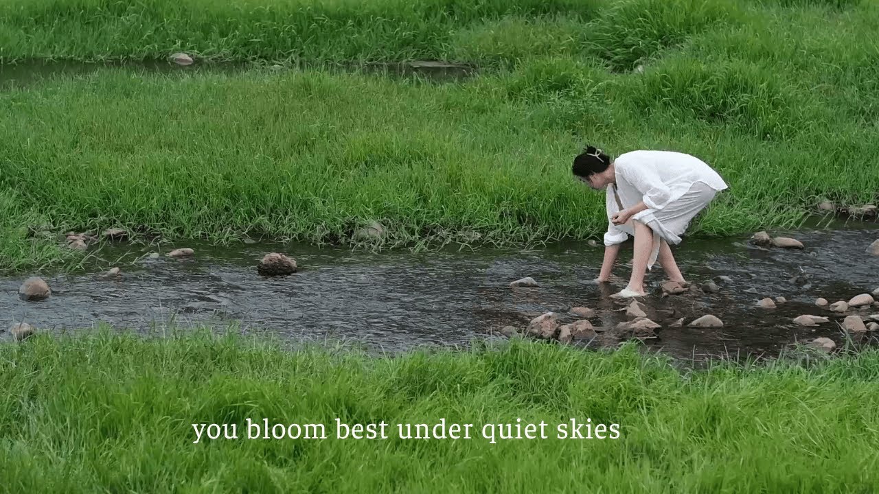 you bloom best under quiet skies... /a relaxing mood playlist/