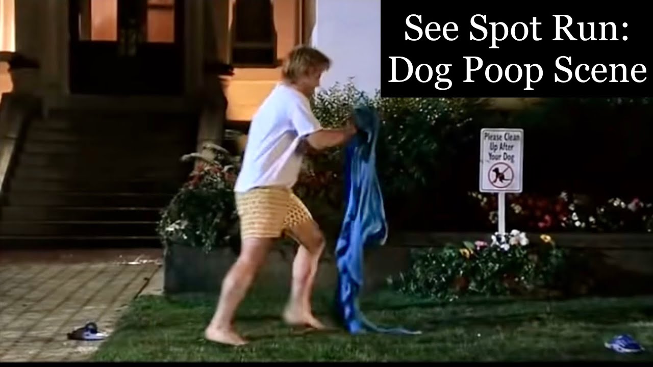 See Spot Run: Dog Poop Scene 🐶