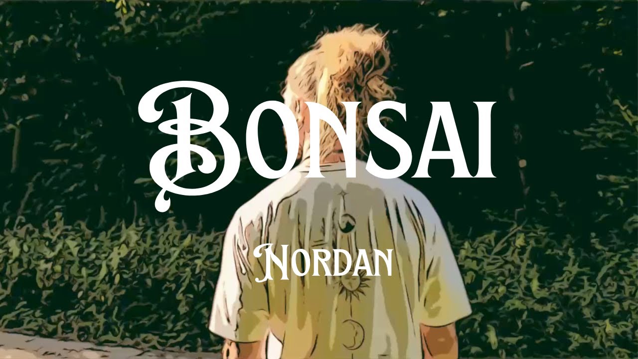 Nordan - BONSAI (Deutschrap / Deutschpop | Musikvideo über Ruhe, Fokus & Stärke)