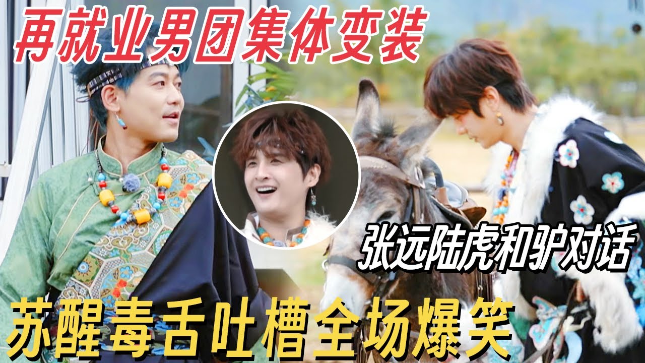 0713再就业男团集体变装异域公子! 张远陆虎和驴对话太抽象, 苏醒毒舌吐槽全场爆笑 #快乐老友有风季 #陈楚生 #苏醒 #王栎鑫 #张远 #王铮亮 #陆虎 #王霏霏 #沈梦辰