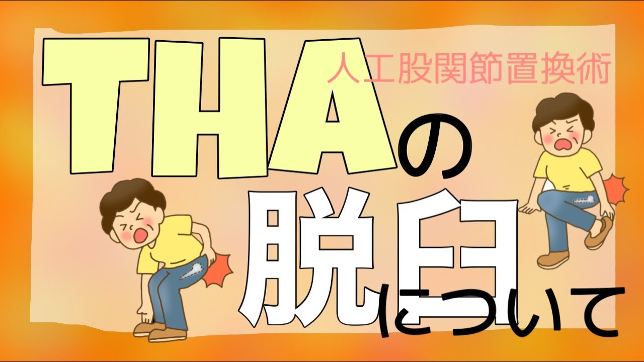 【前編】THA（人工股関節置換術）の脱臼について【整形外科ナース】