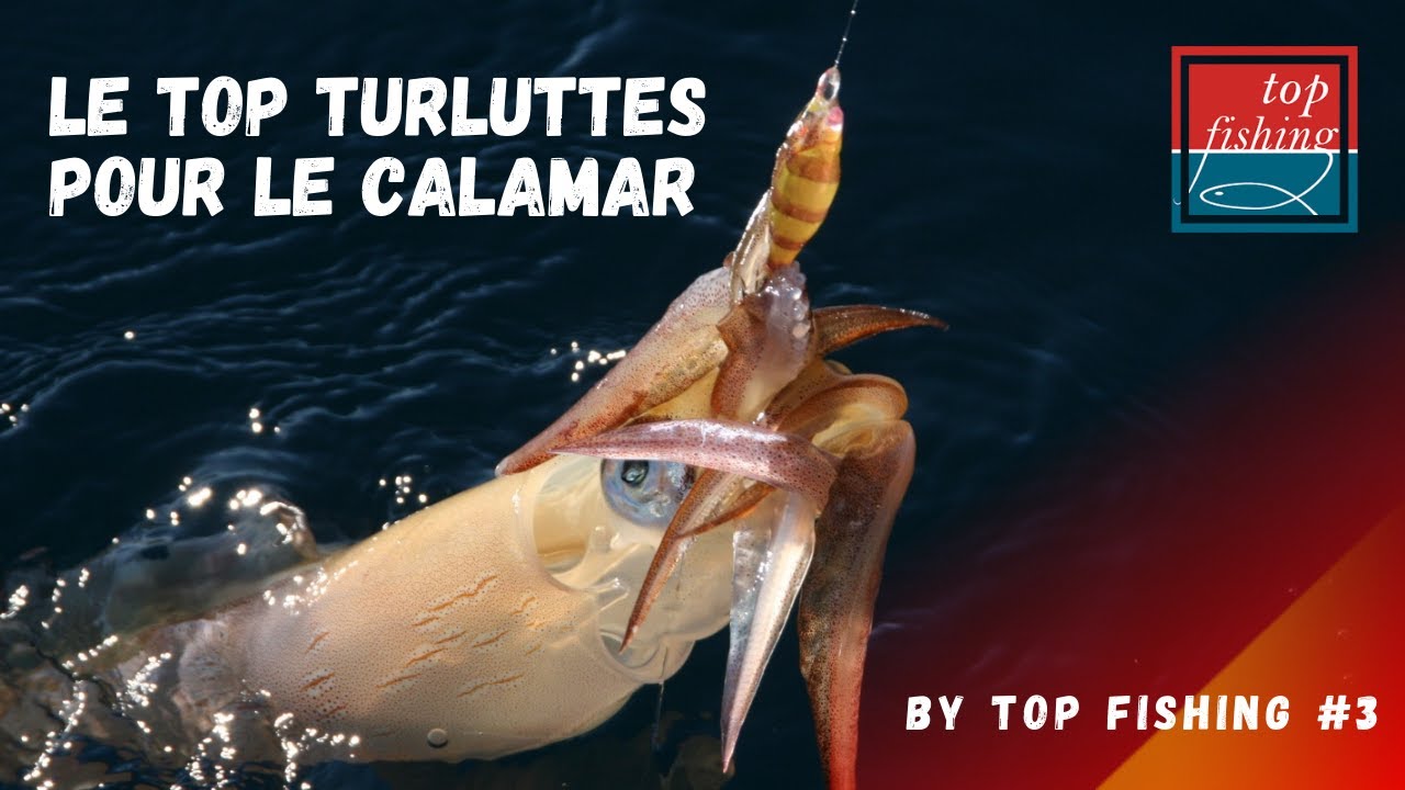 LE TOP#2 BY TOP FISHING🐟 TURLUTTES POUR LE CALAMAR !