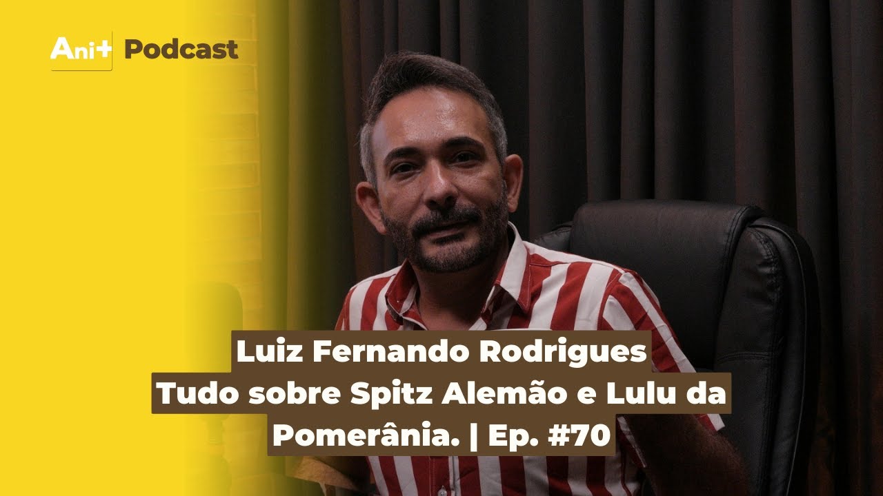 Ani+ podcast #70  - Tudo sobre Spitz Alem&atilde;o e Lulu da Pomer&acirc;nia