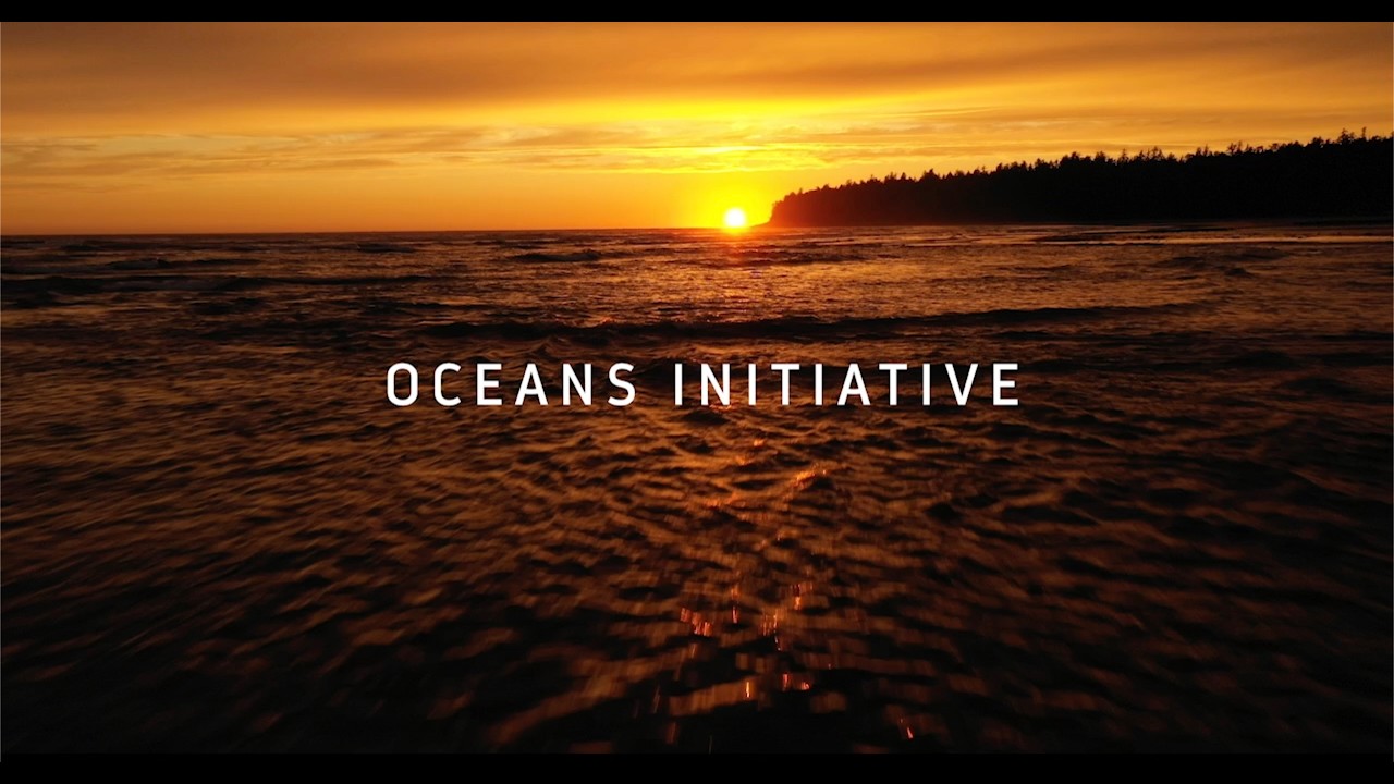 Oceans Initiative — Our Story