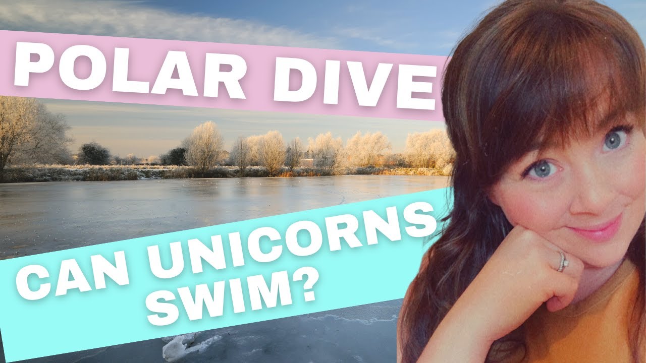 Polar Dive Unicorn