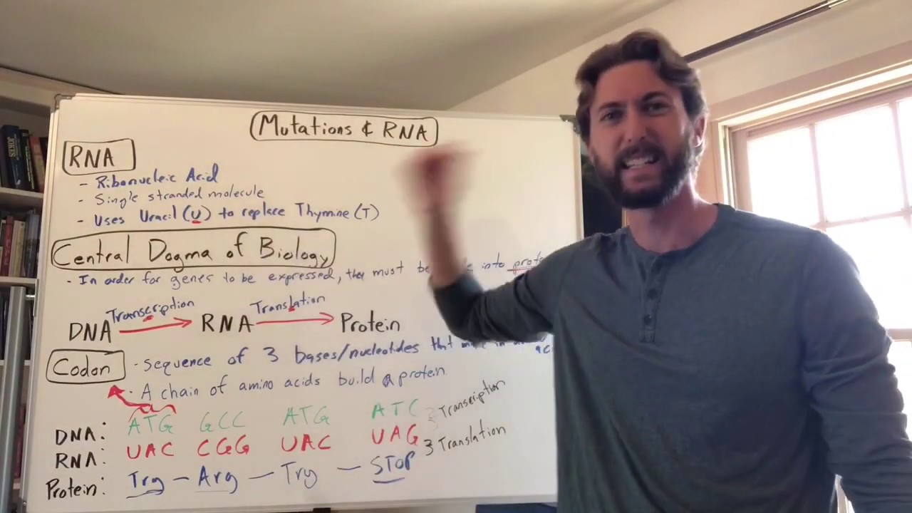 Mutations and RNA
