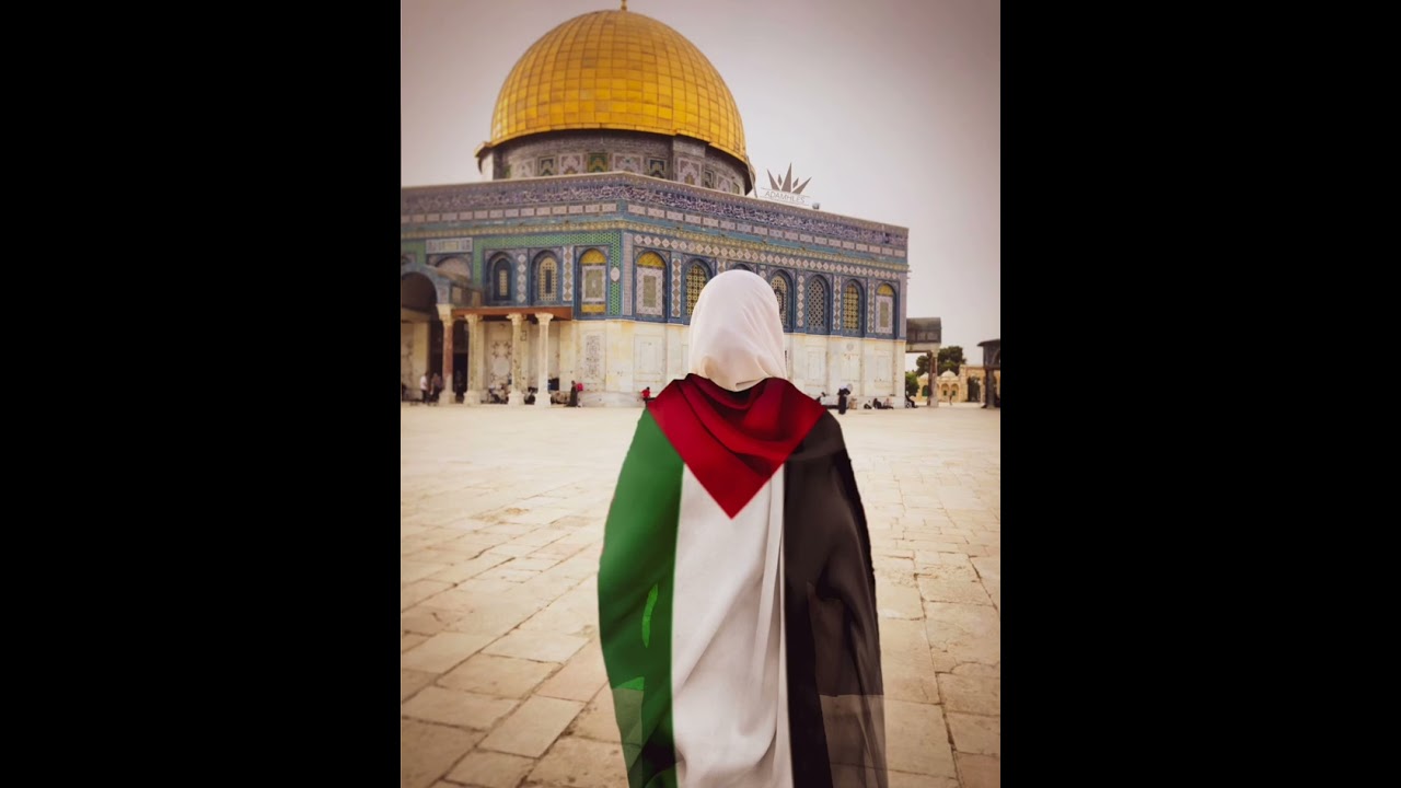 انشودة : ناديتك لو تسمعي 🕊️♥️ // أداء :بلال الاحمد
