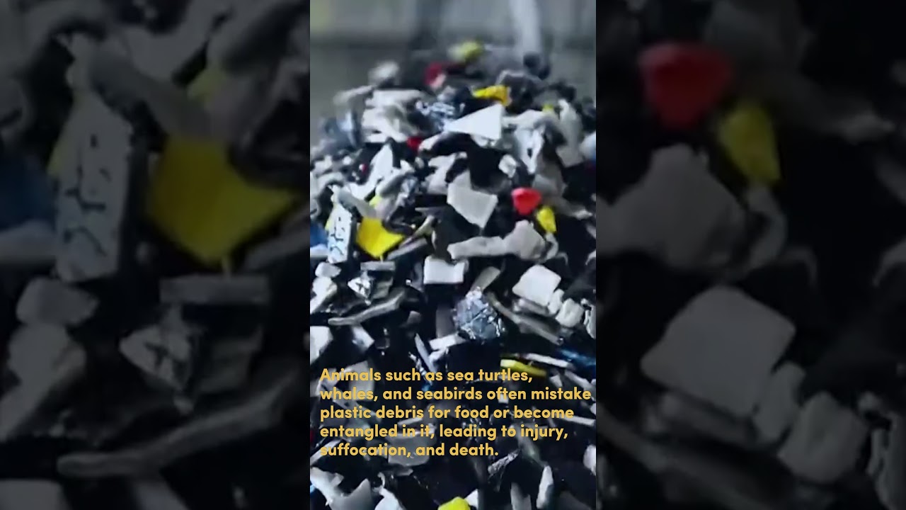 Plastic Crisis