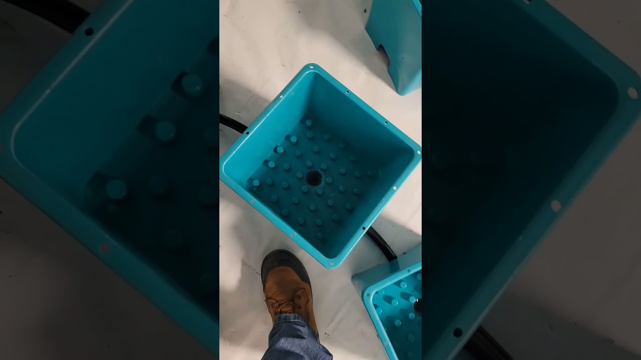 The Aircube system from GrowAce.com is together 🤙🌱 Let's get a test run video together now.