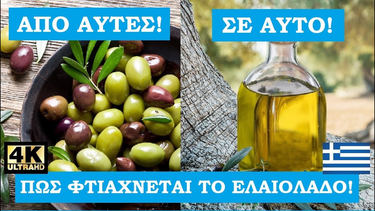 Ελληνικό ελαιόλαδο | Πώς βγαίνει στο ελαιοτριβείο