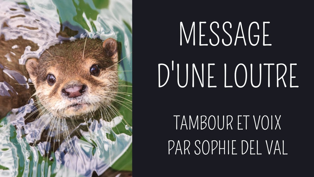 Hypnose Chamanique - Message d'une loutre