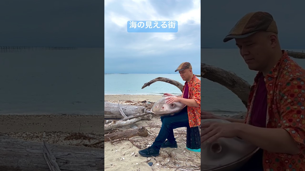 流木が見える海