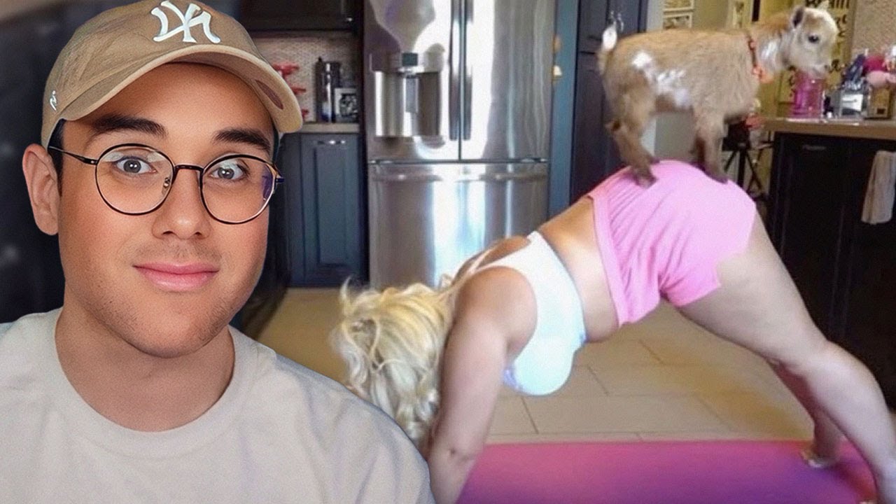 reacting to nostalgic Trisha Paytas videos to fill the JUST TRISH void