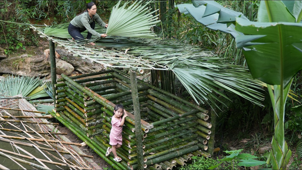Building a pig farm in the forest from bamboo - Harvesting vegetables to sell - L&yacute; Thị Nhim