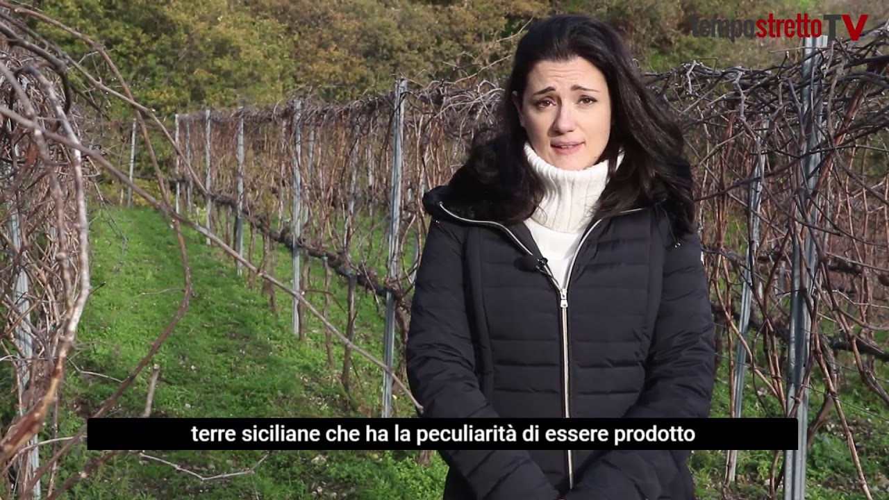 Tenuta Gatto, una scommessa vincente sulle colline di Larderia