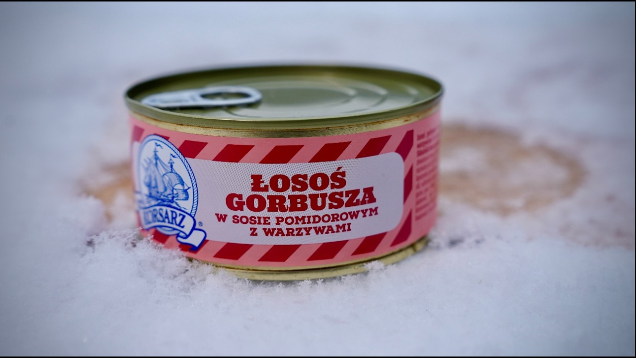 Łosoś Gorbusza w Puszce z Dino ,Test i Recenzja  -KO