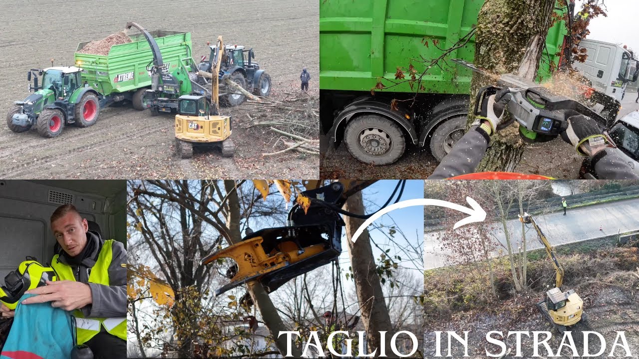 TAGLIAMO CON LA CESOIA I PLATANI A BORDO STRADA E CIPPATURA DI TUTTO, POI LAVORO CON GRU ED EGOPOWER