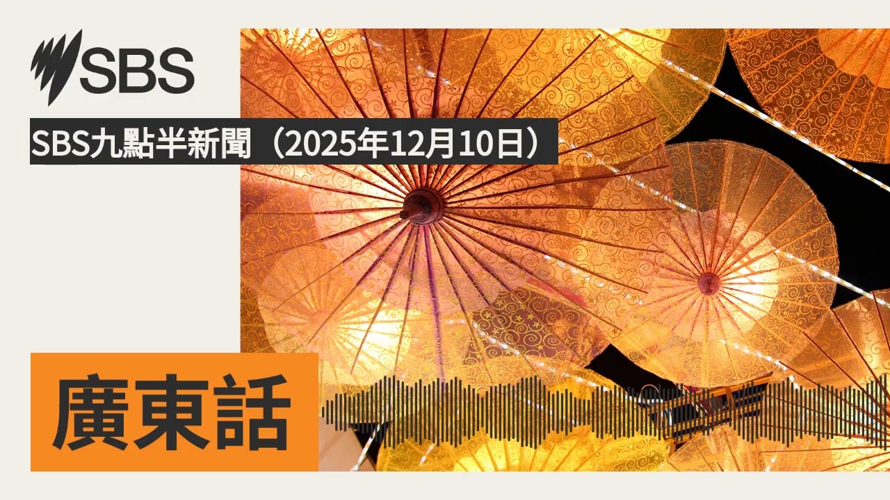 SBS九點半新聞（2025年12月10日） | SBS Cantonese - SBS廣東話節目
