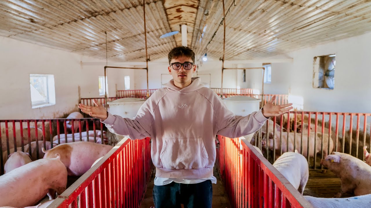 DailyVlog #2 Am vizitat o FERMĂ DE PORCI 🐖 și n-o să crezi ce am găsit acolo! 🤯