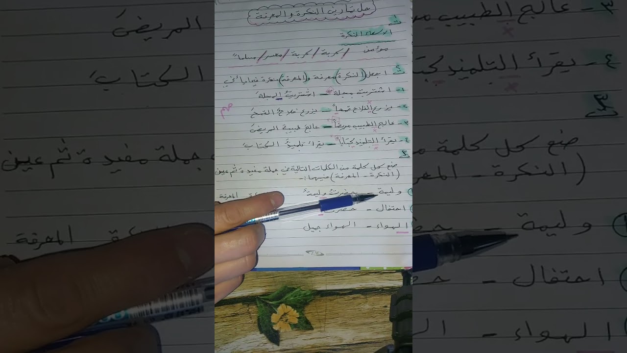 شرح وحل تمرينات النكره والمعرفه للصف الساس ابتدائي