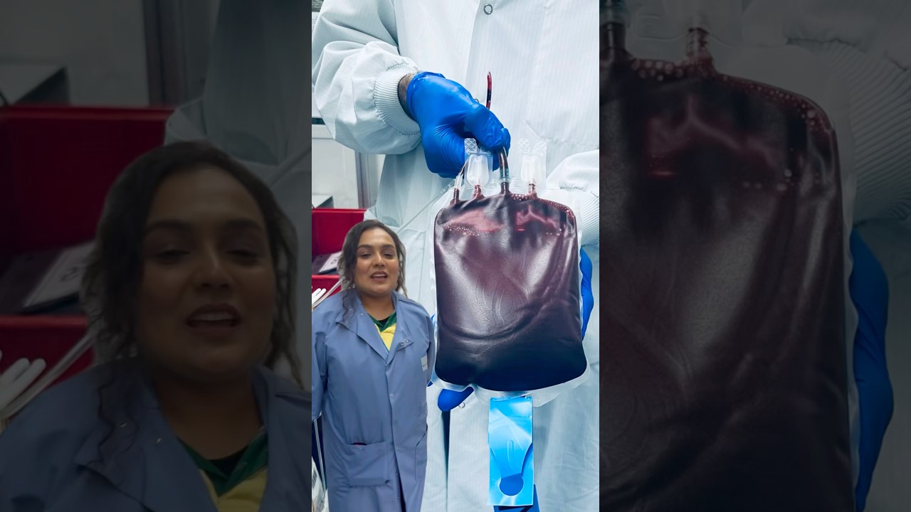 EXPLAINED: How platelets from your blood donations are recovered 💛 #GiveBlood #Shorts