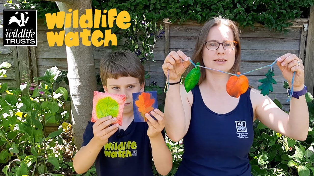 Wildlife Wednesday: How to make salt dough leaf art!