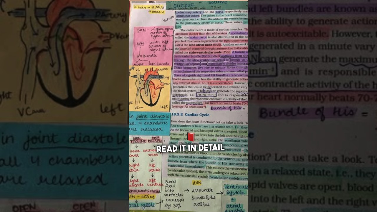 How to Read Biology NCERT😱🩺| 360 Scoring Tips📝🥼 #neet #biology #shorts