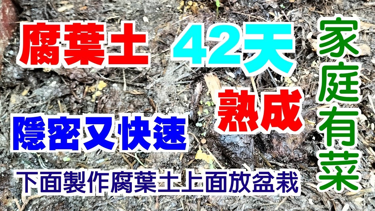 【家庭有菜】隱密式腐葉土製作只要42天