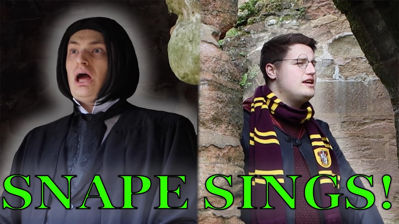 Lily's Eyes by Snape and Harry Potter | Secret Garden Cover