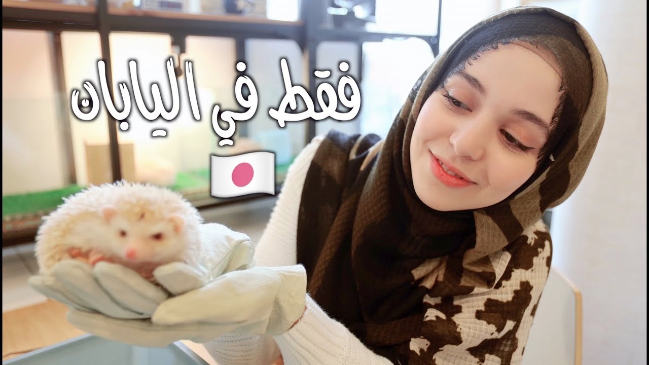 أغرب 15 معلومة عن كوكب اليابان - قد تكتشفها لأول مرة!!
