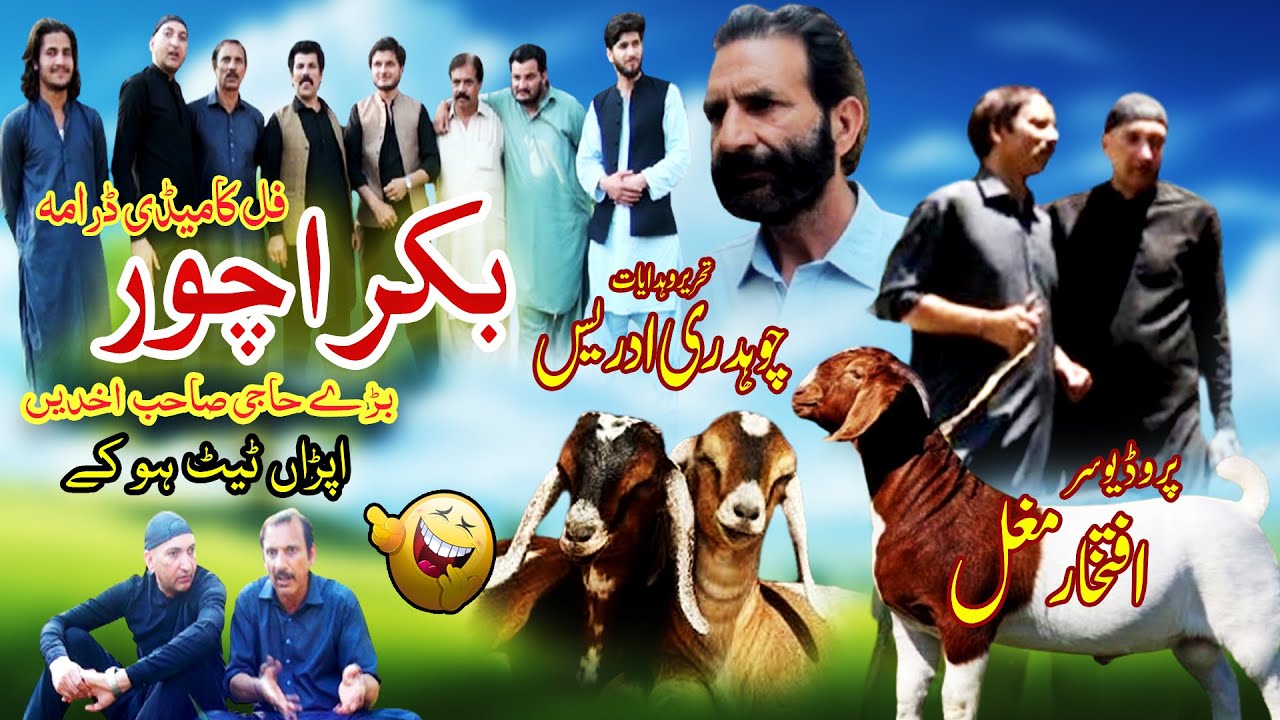 Bakara Chor || latest hindko funny drama || new pothwari comedy || 2025